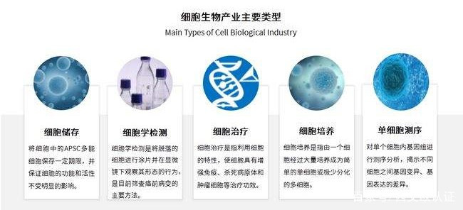 干細(xì)胞治療產(chǎn)品,從實(shí)驗(yàn)室到上市還有多遠(yuǎn)?