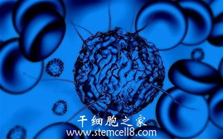 蘋(píng)果干細(xì)胞的醫(yī)學(xué)研究